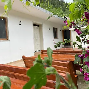  Guest house Thethi Mountain